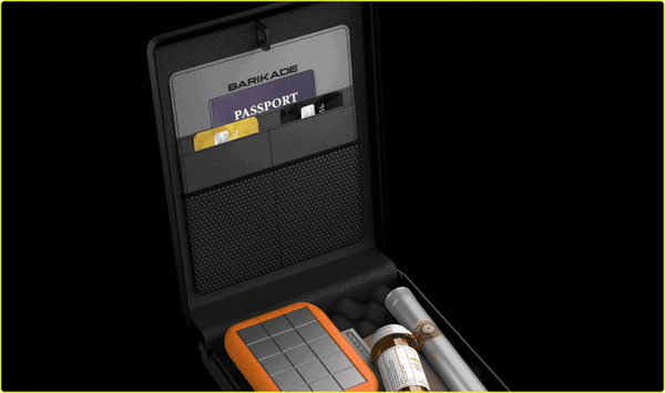 Interior Lid Organizer