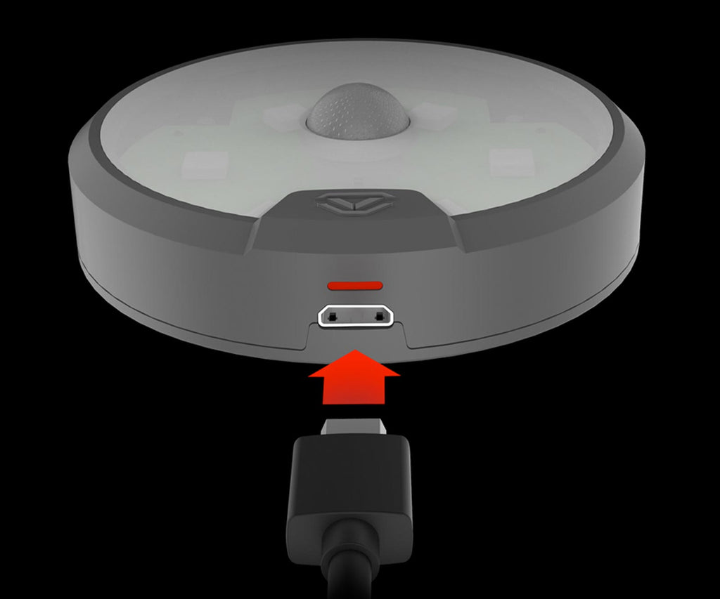 Motion Activated LED Light