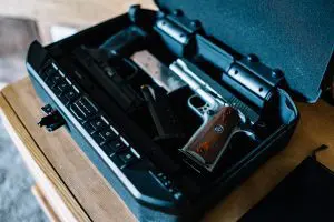 Vaultek Safe|midvtek