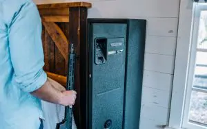 Vaultek Safe | newback