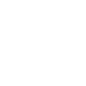 Vaultek Safe|batterynew