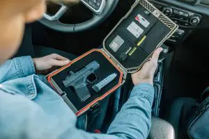 Vaultek Safe | picsnew