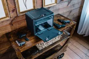 Vaultek Safe | d1