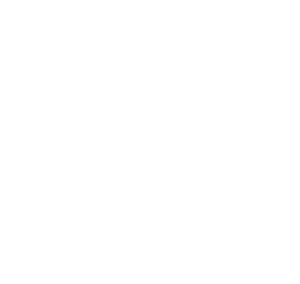 Vaultek Safe|20ftrange