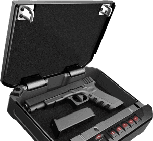 Vaultek Safe | 10s