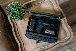 Vaultek Safe|10ser