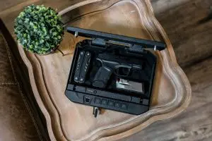 Vaultek Safe|10series