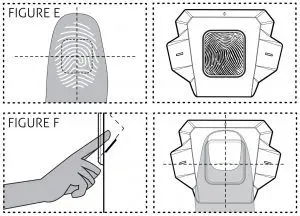 Vaultek Safe|fingers