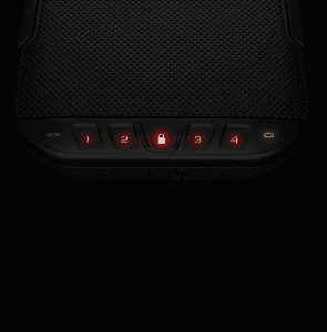 Vaultek Safe | locks