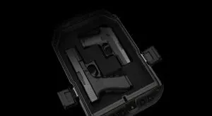 Vaultek Safe|master