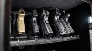 Vaultek Safe | easystore