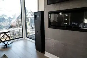 Vaultek Safe | safe