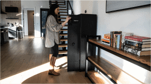 Vaultek Safe | easystore