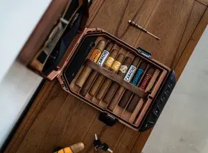 Vaultek Safe|a1