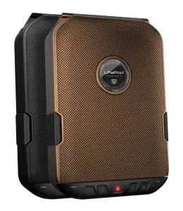 Vaultek Safe|a2