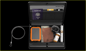 Vaultek Safe|bio-1