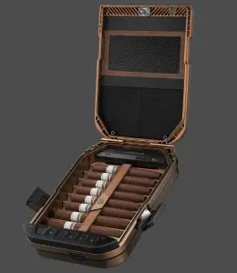Vaultek Safe|look1