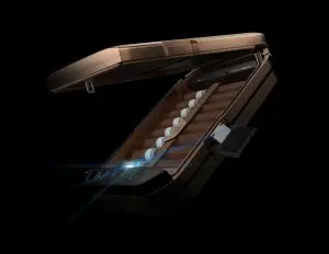Vaultek Safe|tryttop