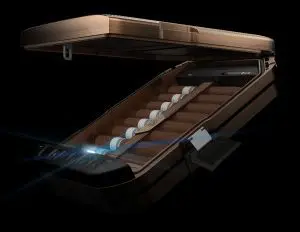 Vaultek Safe|ttop