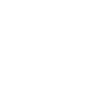 Vaultek Safe|battery