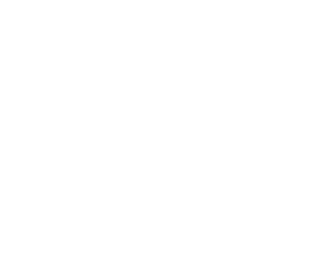 Vaultek Safe|a1