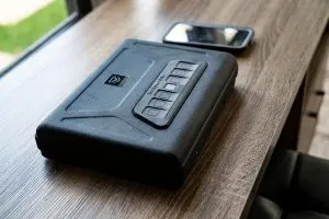 Vaultek Safe|bkj