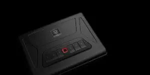 Vaultek Safe | deals