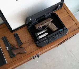 Vaultek Safe|safe