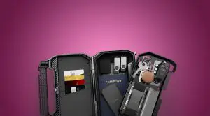 Vaultek Safe|purpouse