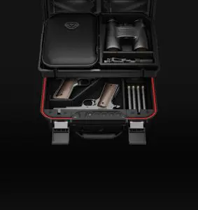 Vaultek Safe|backs