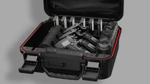 Vaultek Safe|allsto