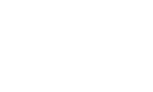 Vaultek Safe|
