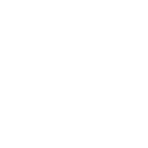 Vaultek Safe|plug