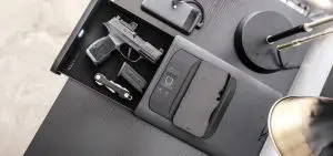 Vaultek Safe | charge