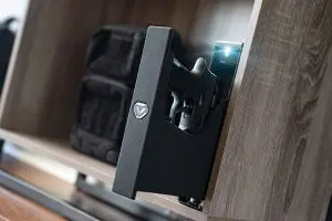 Vaultek Safe|fullsize