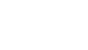 Vaultek Safe|logovisn