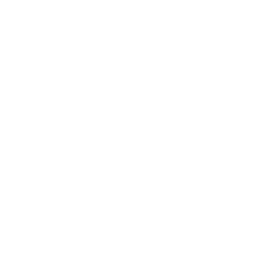 Vaultek Safe|mr-line-2