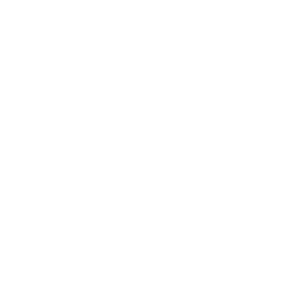 Vaultek Safe|rssliderlinewt2