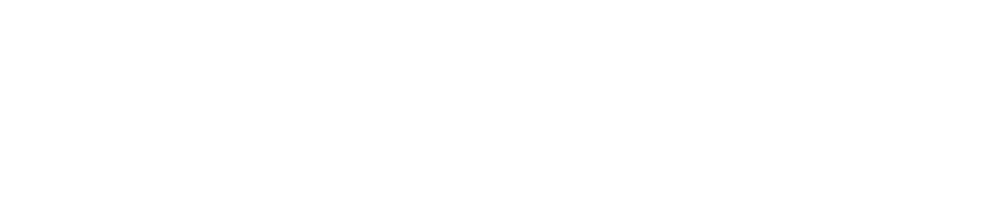 Vaultek Safe | Vaultek DS5i – Smart Station