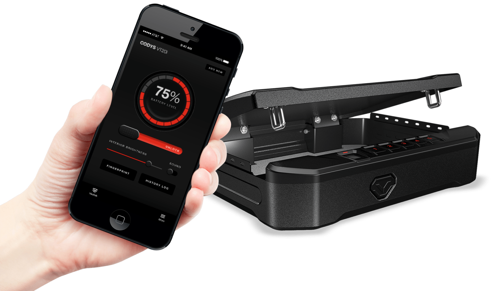 Biometric lock