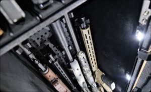 Vaultek Safe | 2