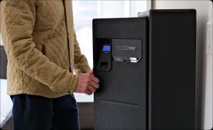 Vaultek Safe | 3