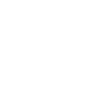 Vaultek Safe|mr-line-2