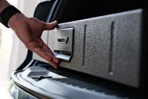 Vaultek Safe|car2