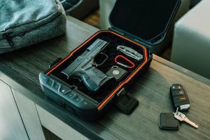 Vaultek Safe|vlp10nld